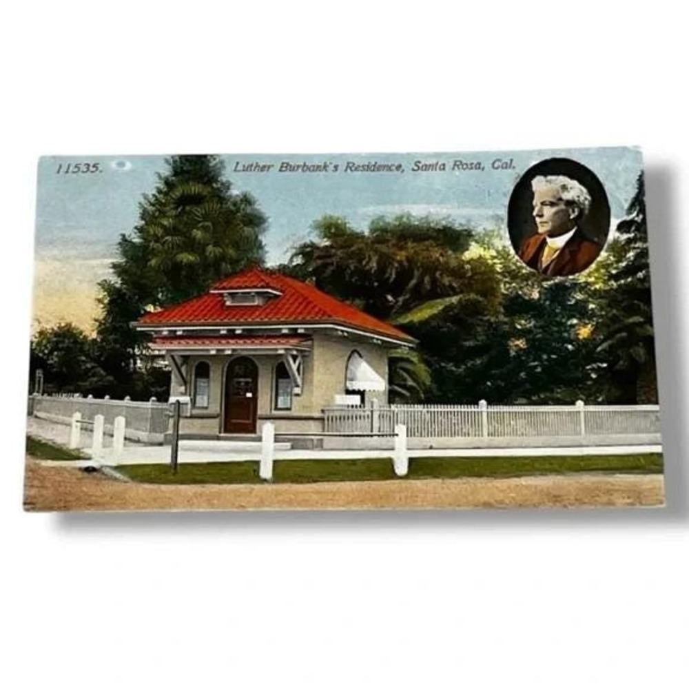 Postcard Luther Burbanks Residence Santa Rosa California Acmegraph Co C356